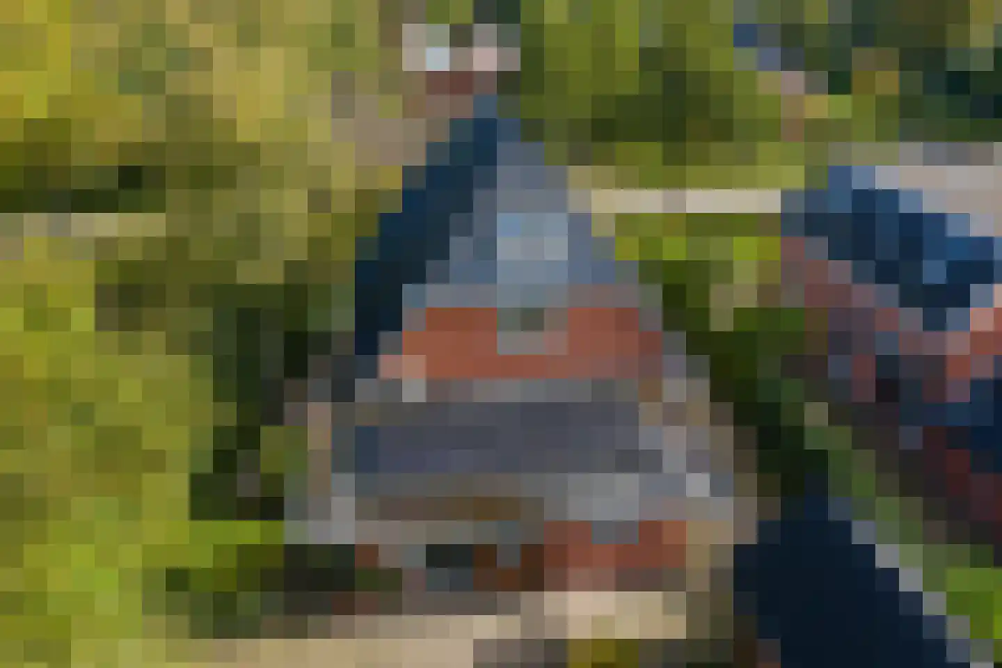 Dorpsweg 7 Onnen thumbnail 96