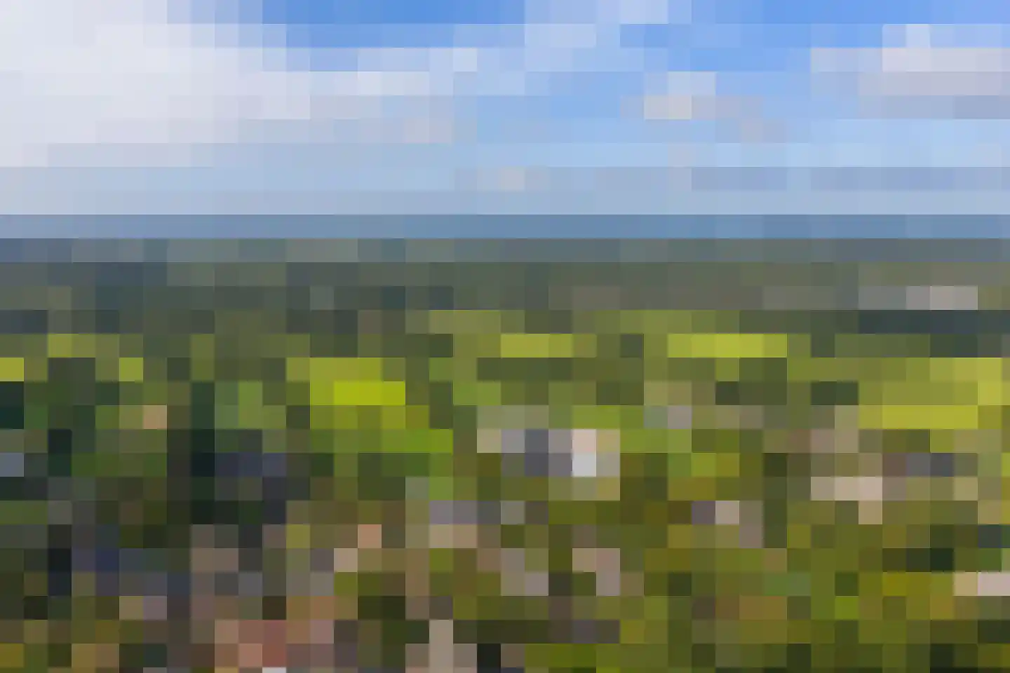 Dorpsweg 7 Onnen thumbnail 99