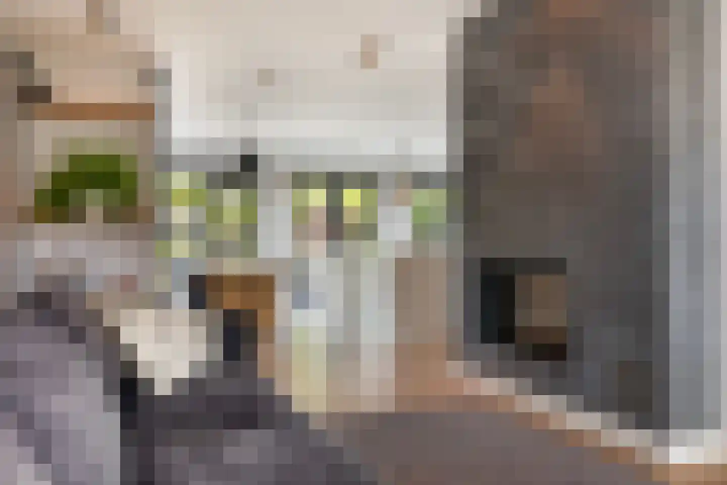 Dorpsweg 70 Maartensdijk thumbnail 12
