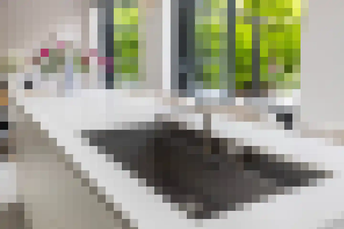 Dorpsweg 70 Maartensdijk thumbnail 18