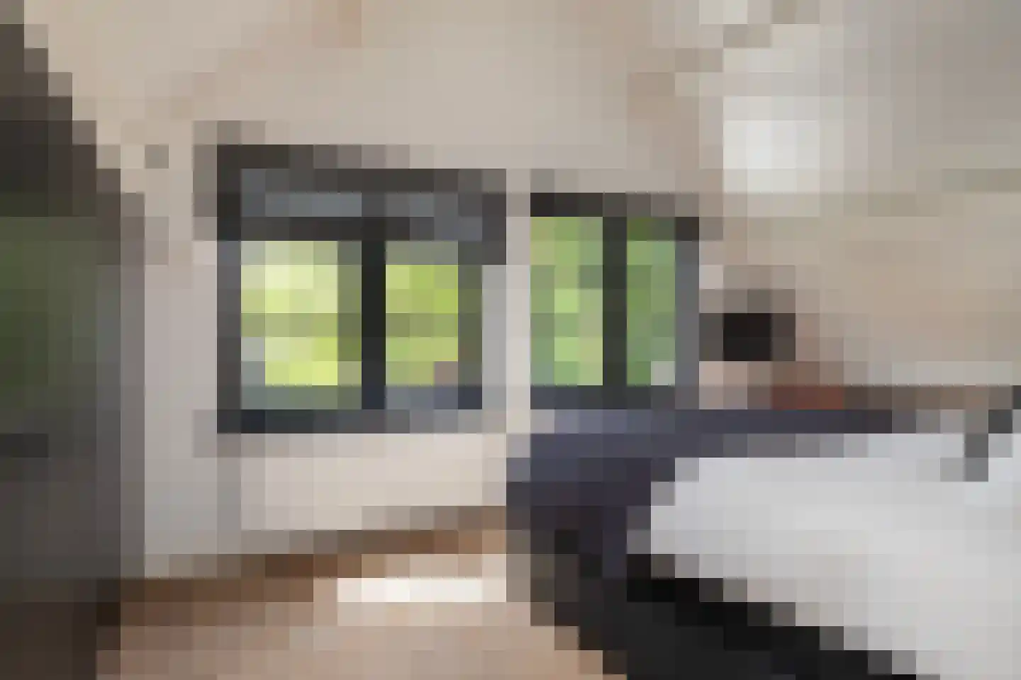 Dorpsweg 70 Maartensdijk thumbnail 28