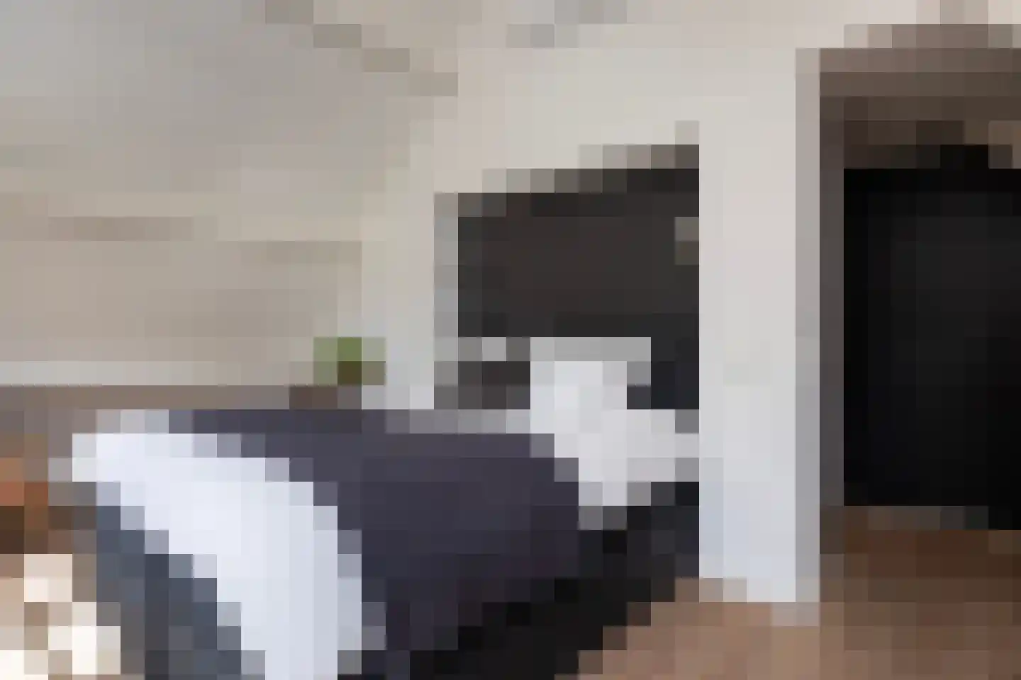Dorpsweg 70 Maartensdijk thumbnail 31