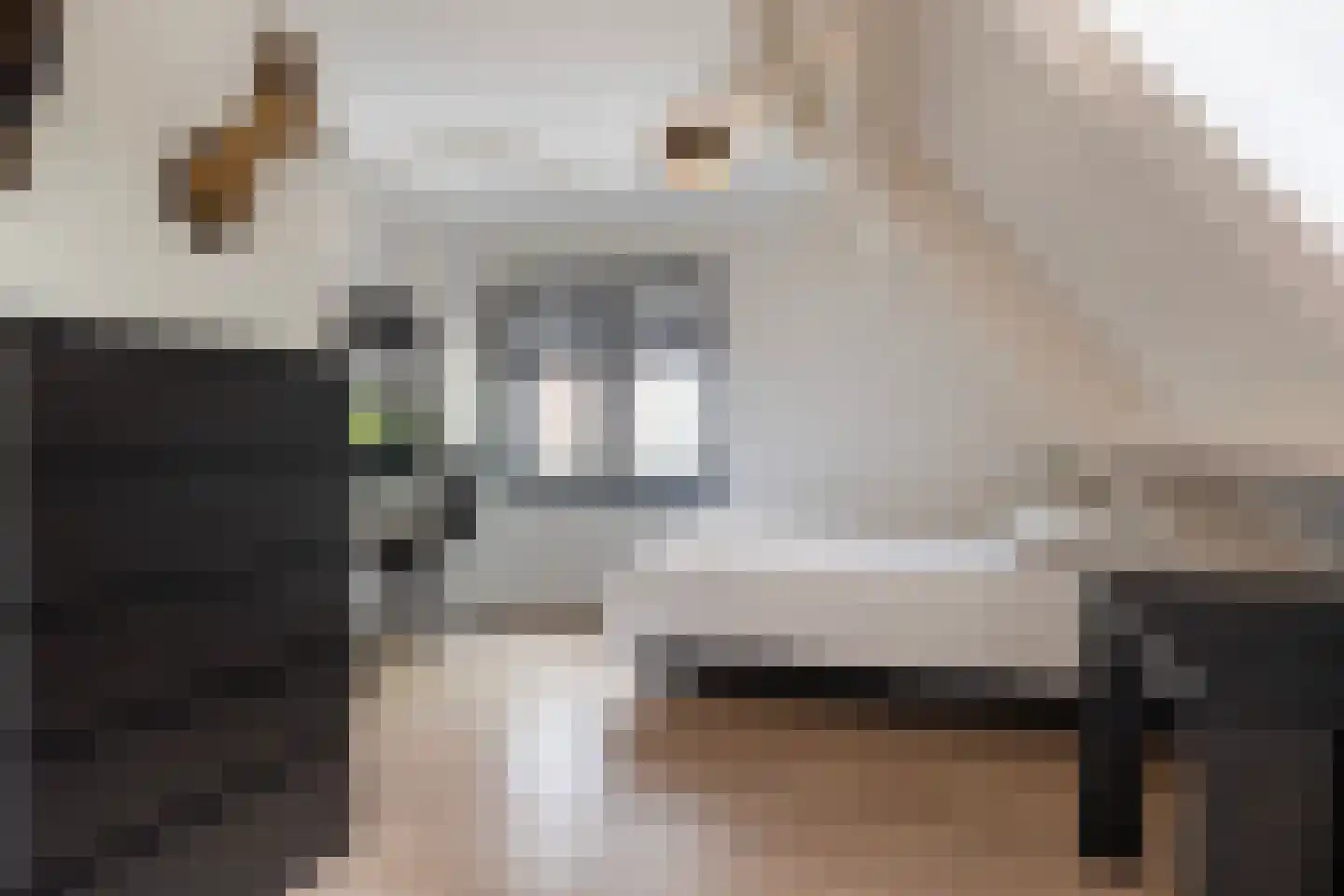 Dorpsweg 70 Maartensdijk thumbnail 32
