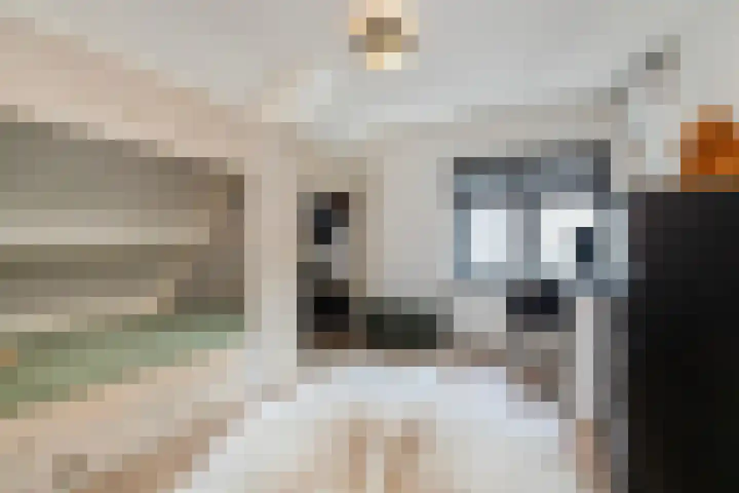 Dorpsweg 70 Maartensdijk thumbnail 33