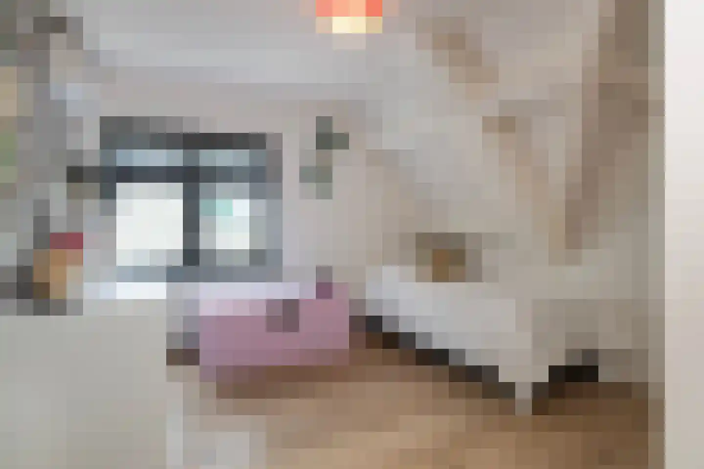 Dorpsweg 70 Maartensdijk thumbnail 34