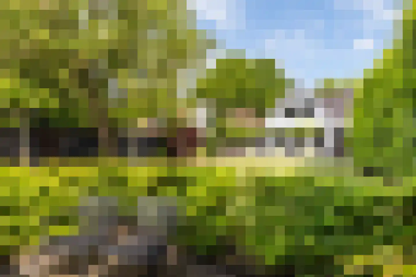 Dorpsweg 70 Maartensdijk thumbnail 48