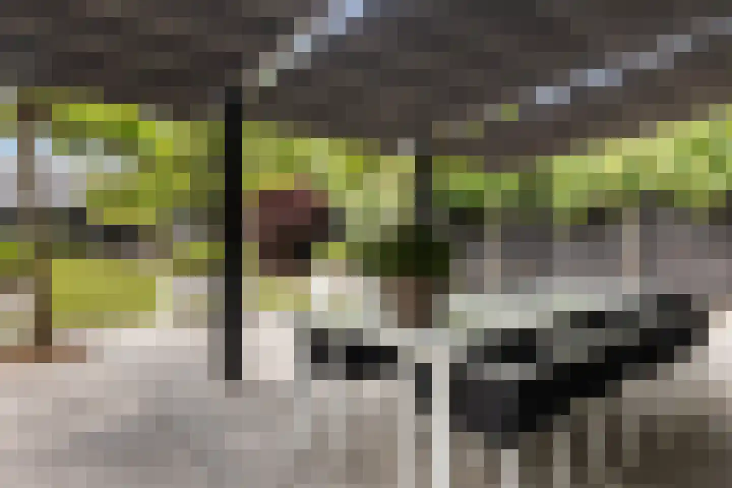 Dorpsweg 70 Maartensdijk thumbnail 54