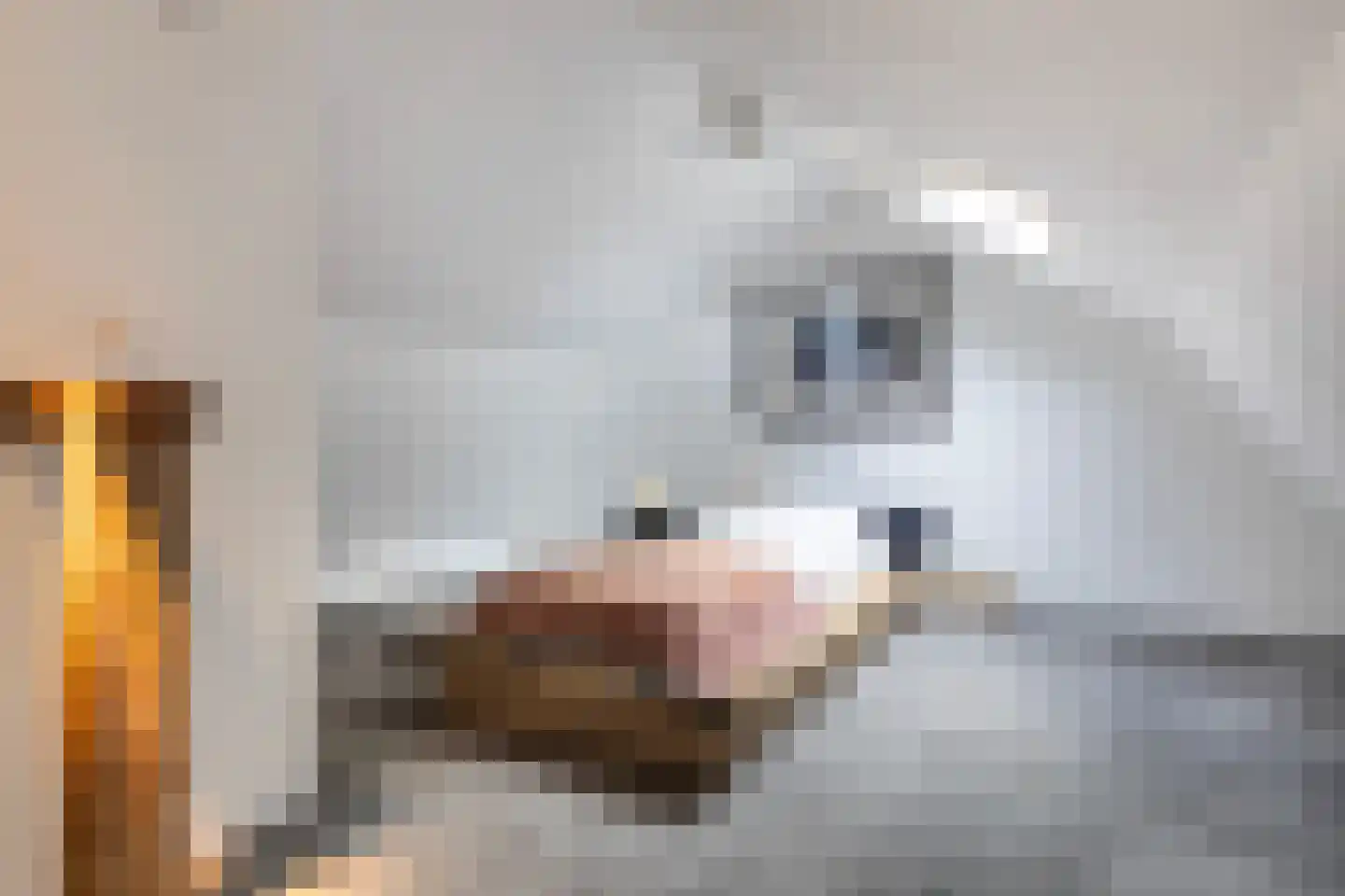 Dorpsweg 70 Maartensdijk thumbnail 66
