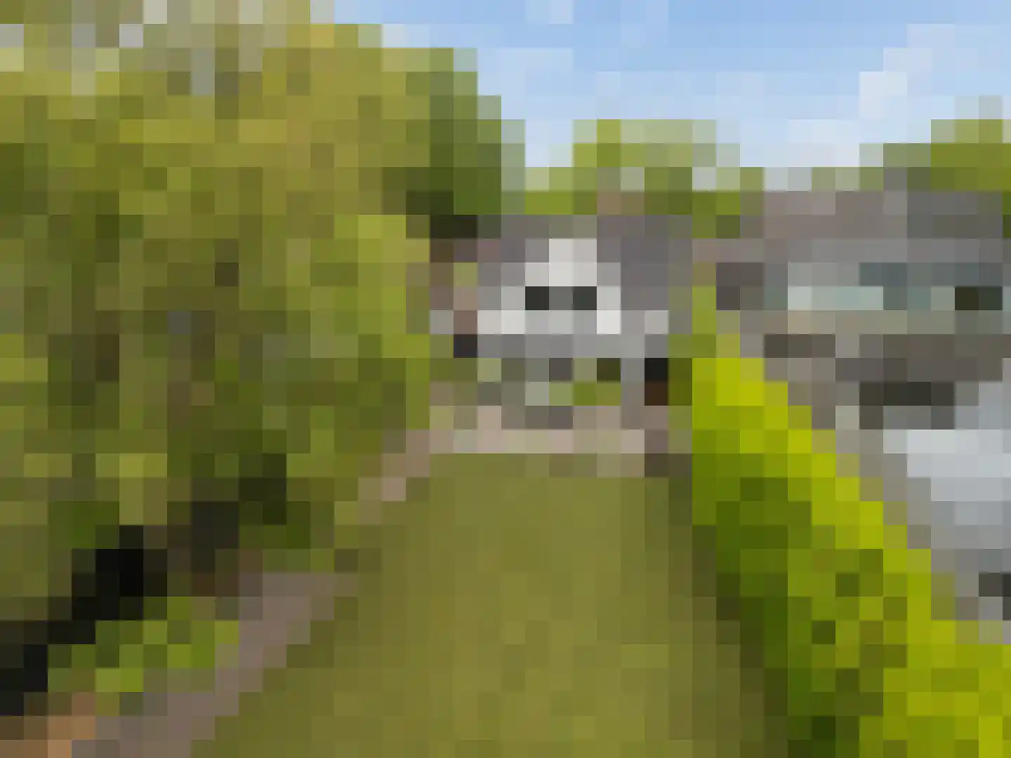 Dorpsweg 70 Maartensdijk thumbnail 74