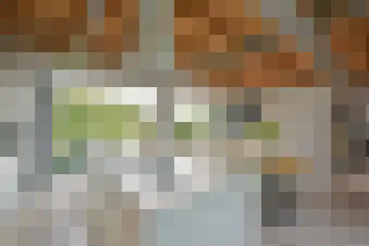 Dorpsweg 71 Schellinkhout thumbnail 10
