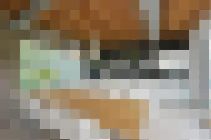 Dorpsweg 71 Schellinkhout thumbnail 11