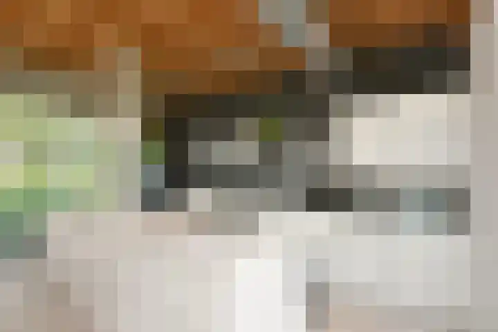Dorpsweg 71 Schellinkhout thumbnail 12