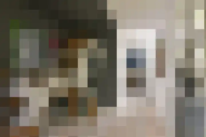Dorpsweg 71 Schellinkhout thumbnail 14