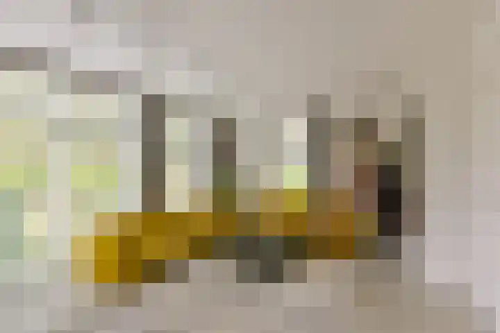 Dorpsweg 71 Schellinkhout thumbnail 17