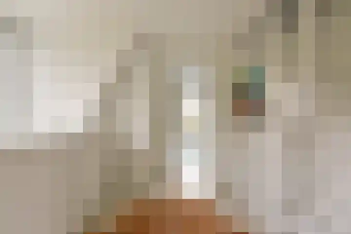 Dorpsweg 71 Schellinkhout thumbnail 23