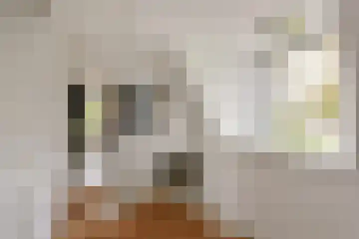 Dorpsweg 71 Schellinkhout thumbnail 24