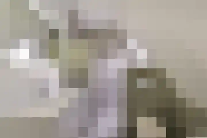 Dorpsweg 71 Schellinkhout thumbnail 28