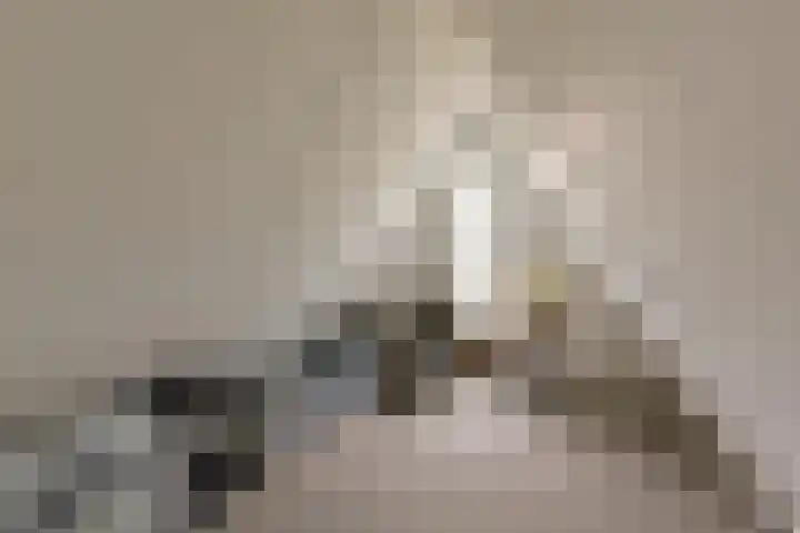 Dorpsweg 71 Schellinkhout thumbnail 30