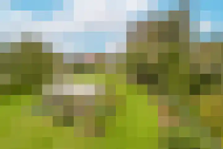 Dorpsweg 71 Schellinkhout thumbnail 31