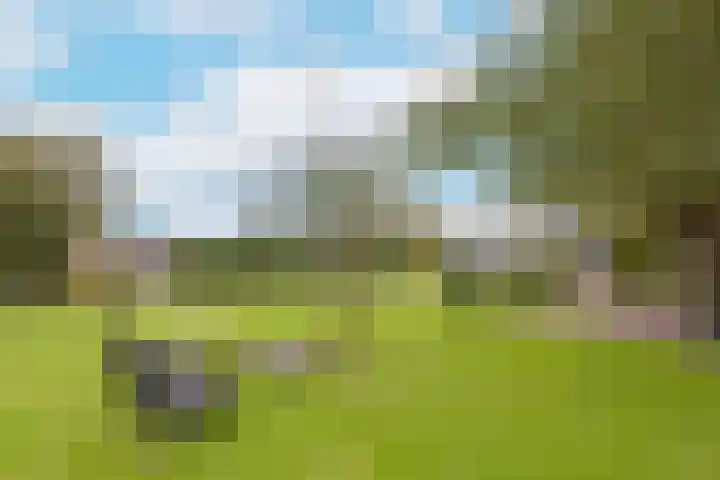 Dorpsweg 71 Schellinkhout thumbnail 32