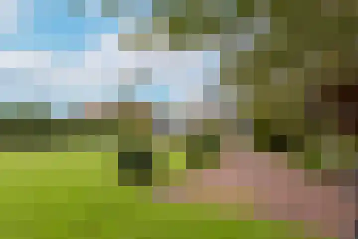 Dorpsweg 71 Schellinkhout thumbnail 33