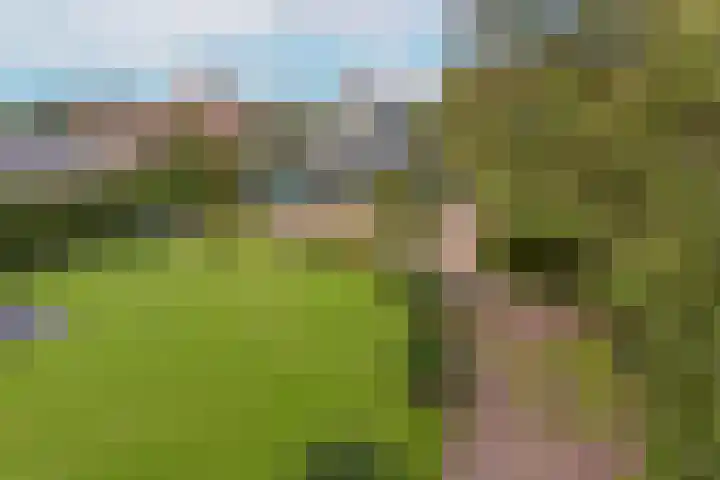 Dorpsweg 71 Schellinkhout thumbnail 34