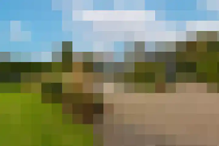 Dorpsweg 71 Schellinkhout thumbnail 36