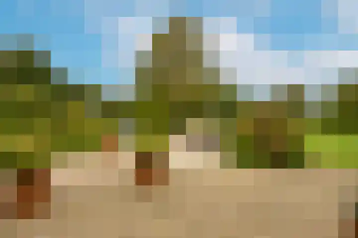 Dorpsweg 71 Schellinkhout thumbnail 37