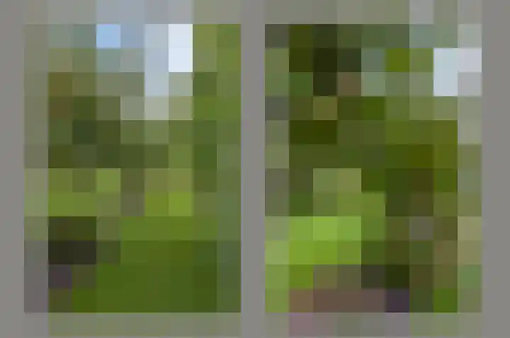 Dorpsweg 71 Schellinkhout thumbnail 38