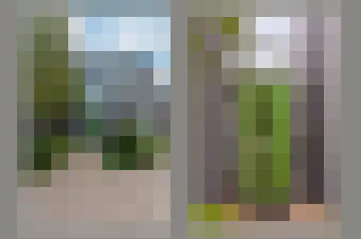Dorpsweg 71 Schellinkhout thumbnail 4