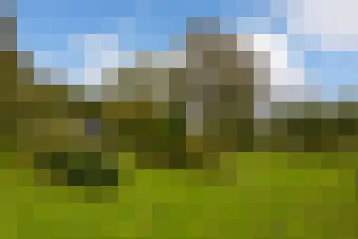 Dorpsweg 71 Schellinkhout thumbnail 40