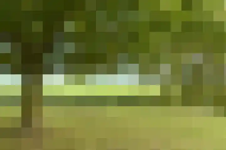 Dorpsweg 71 Schellinkhout thumbnail 41