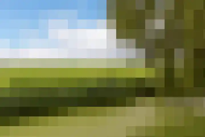Dorpsweg 71 Schellinkhout thumbnail 42