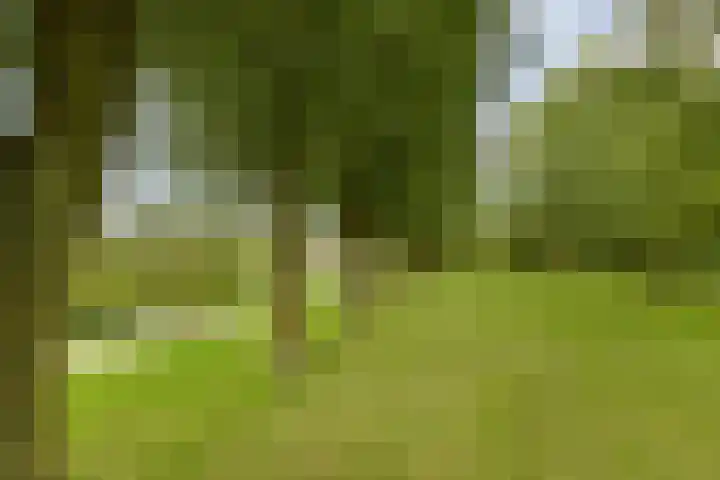 Dorpsweg 71 Schellinkhout thumbnail 43