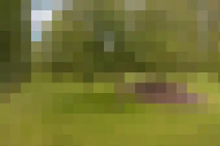 Dorpsweg 71 Schellinkhout thumbnail 44