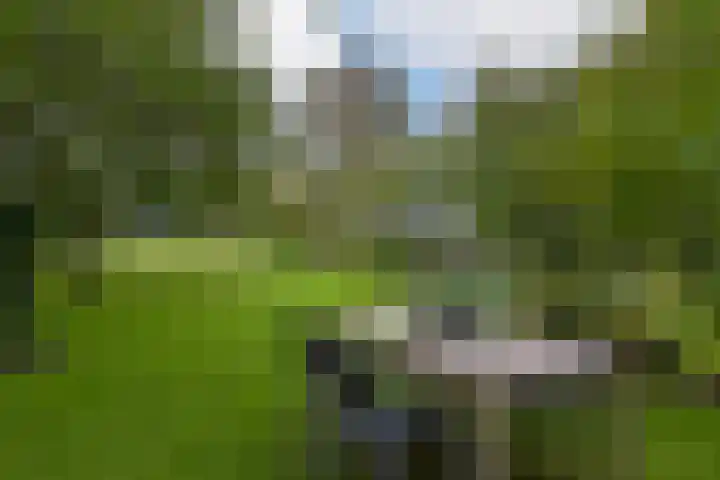 Dorpsweg 71 Schellinkhout thumbnail 45