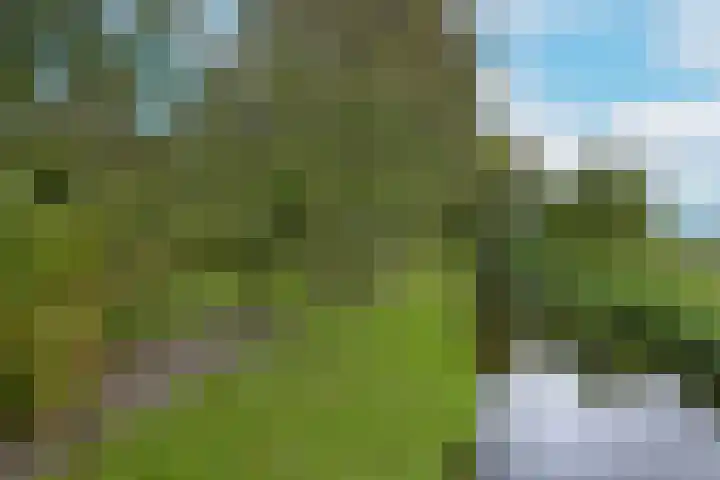 Dorpsweg 71 Schellinkhout thumbnail 46