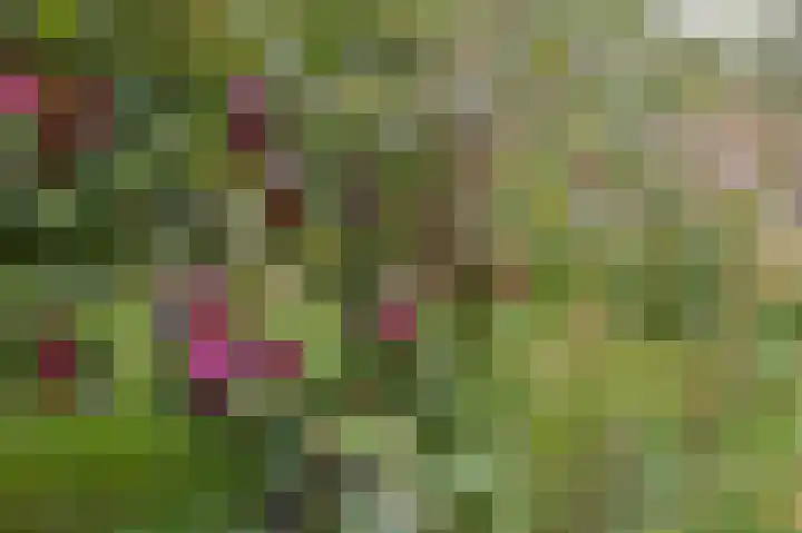 Dorpsweg 71 Schellinkhout thumbnail 47