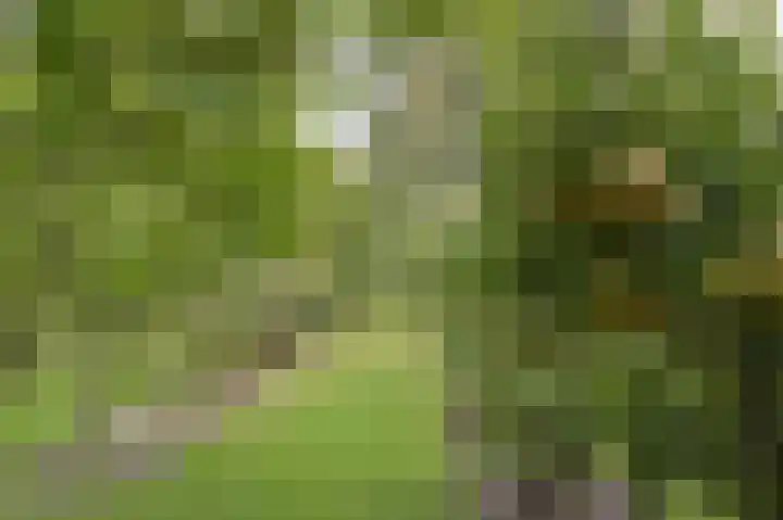 Dorpsweg 71 Schellinkhout thumbnail 48