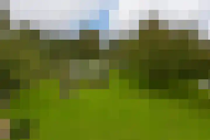 Dorpsweg 71 Schellinkhout thumbnail 49