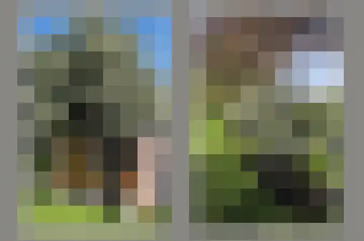 Dorpsweg 71 Schellinkhout thumbnail 50