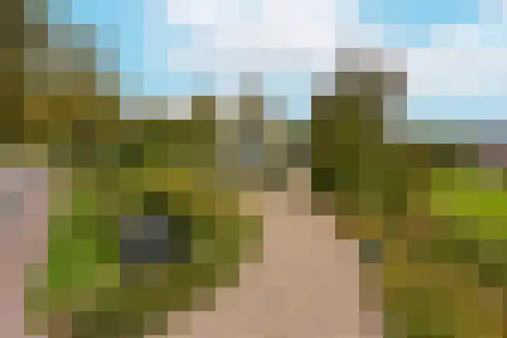 Dorpsweg 71 Schellinkhout thumbnail 51