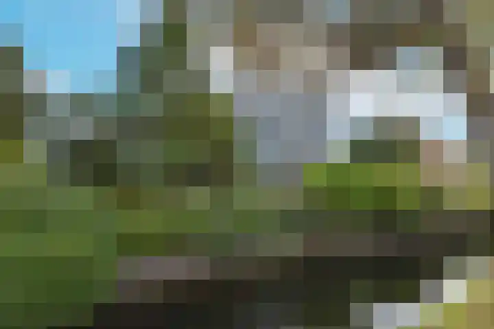 Dorpsweg 71 Schellinkhout thumbnail 52