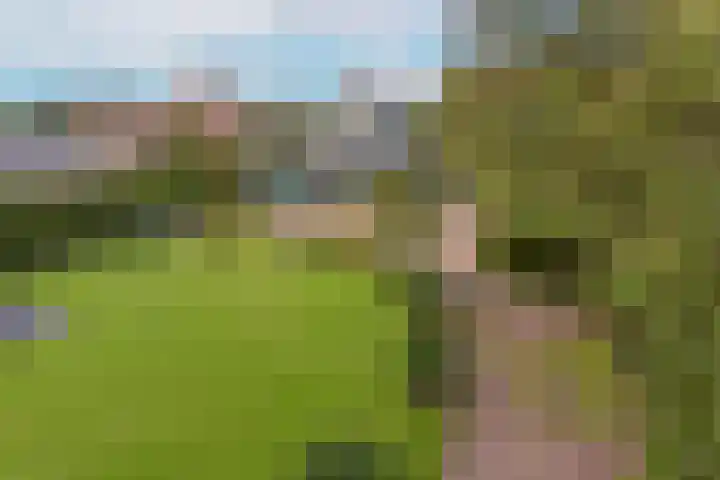Dorpsweg 71 Schellinkhout thumbnail 56
