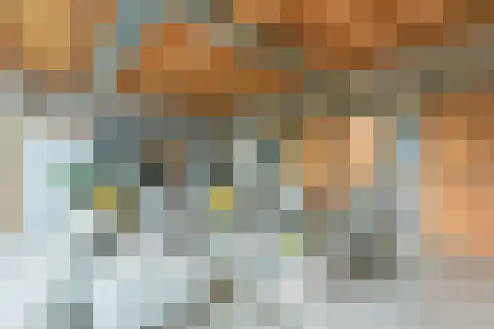 Dorpsweg 71 Schellinkhout thumbnail 6