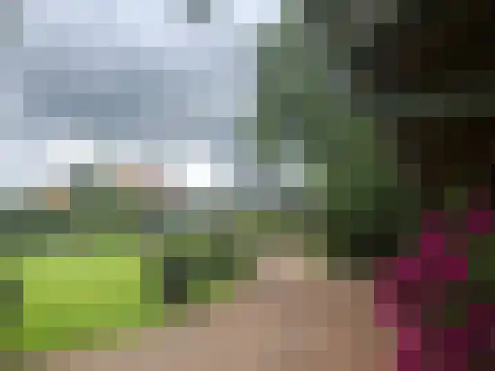 Dorpsweg 71 Schellinkhout thumbnail 63
