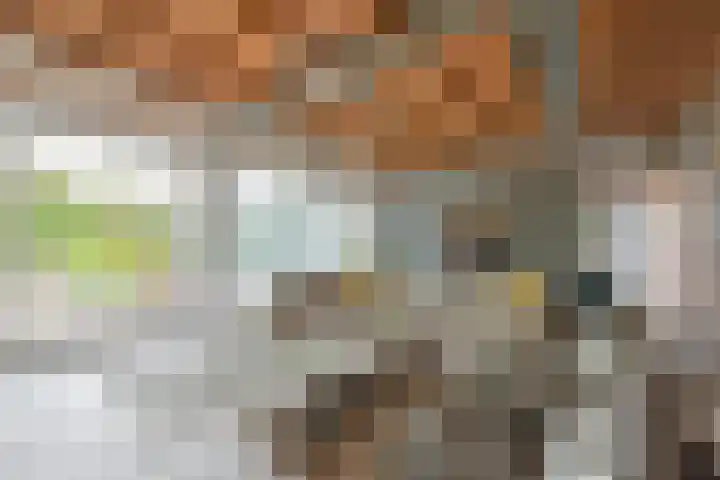 Dorpsweg 71 Schellinkhout thumbnail 7