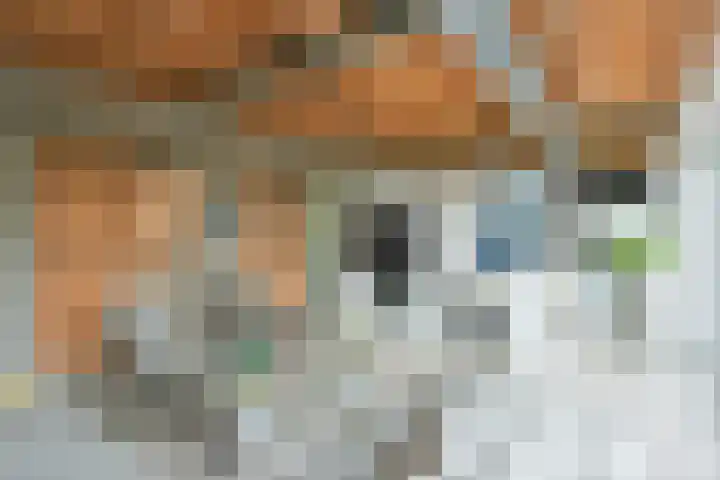 Dorpsweg 71 Schellinkhout thumbnail 8