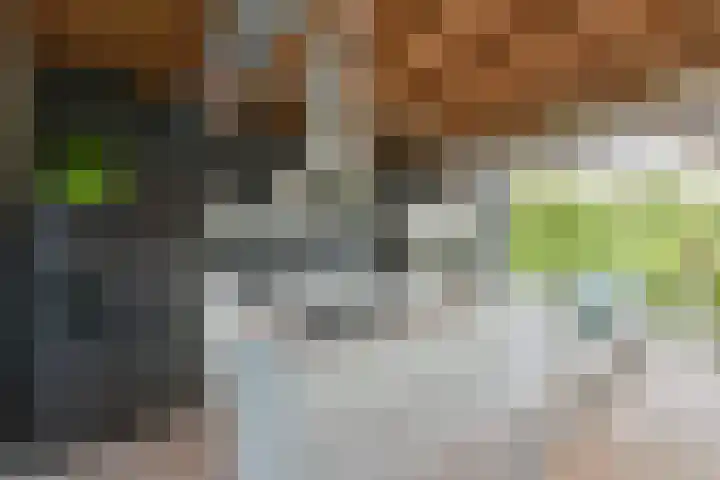 Dorpsweg 71 Schellinkhout thumbnail 9