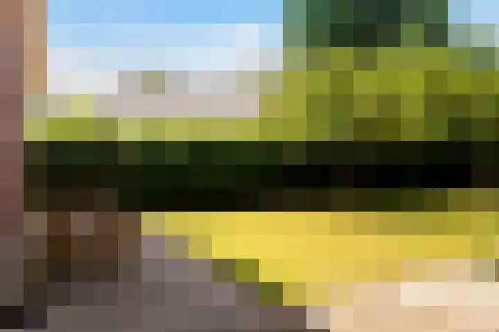 Dorpsweg 71 Spankeren thumbnail 18